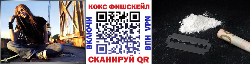 сколько стоит  ссылка на мегу зеркало  COCAIN Fish Scale  Владимир 