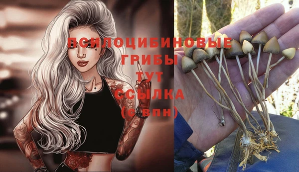 МДПВ Абдулино