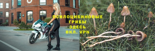 МДПВ Абдулино
