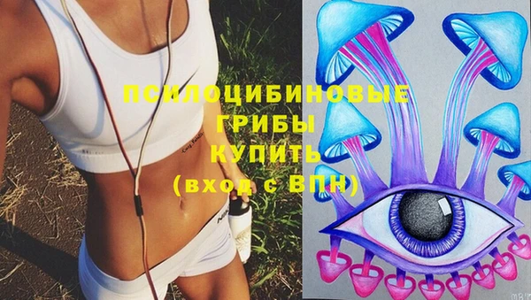 МДПВ Абдулино