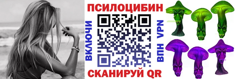 Псилоцибиновые грибы Psilocybine cubensis  Владимир 