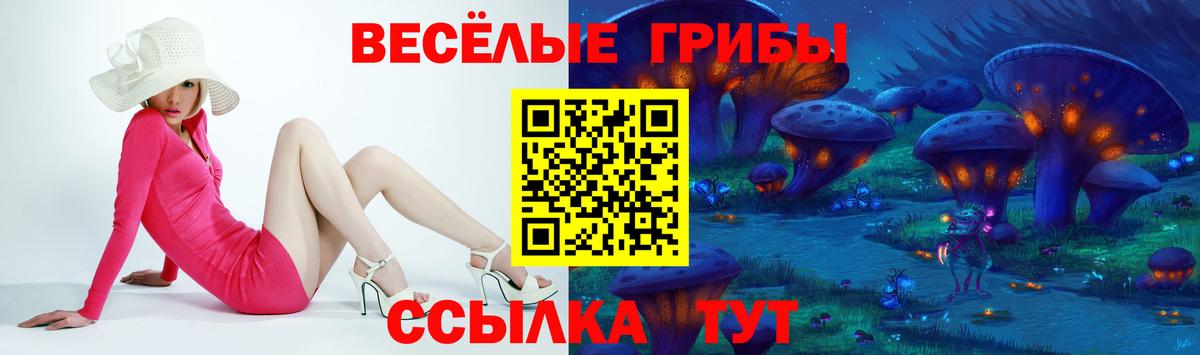 Псилоцибиновые грибы MAGIC MUSHROOMS Владимир